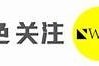 中国麻豆MD传媒：引领新媒体时代的创新之路与发展前景调查